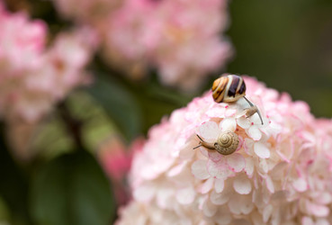 Similar image 22248485