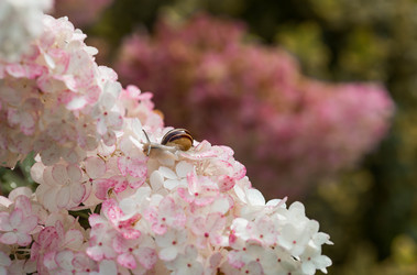 Similar image 22248486