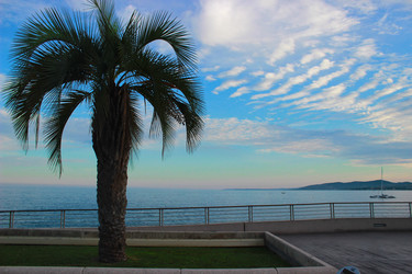 Similar image 22237300