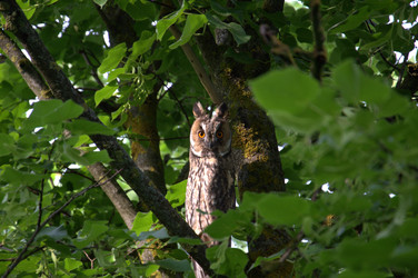 Similar image 22237301