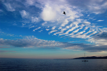 Similar image 22237302