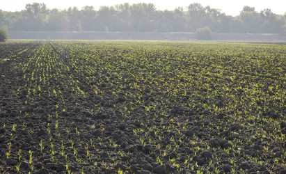 Similar image 22244824