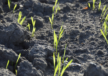 Similar image 22244825