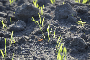 Similar image 22244826