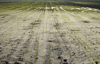 Similar image 22244829