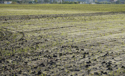 Similar image 22244830