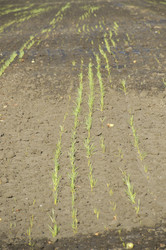 Similar image 22244831