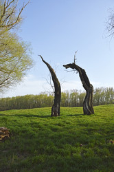 Similar image 22244835