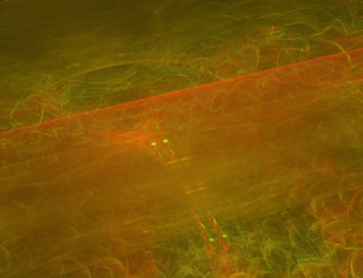 Similar image 22246341