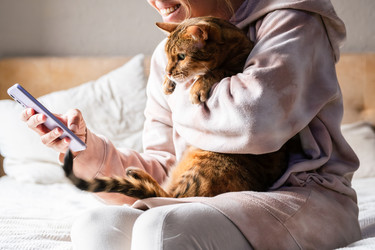 Similar image 22248285