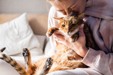 Similar image 22248287