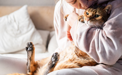 Similar image 22248288