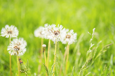 Similar image 22248292