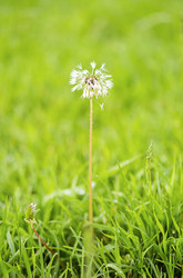 Similar image 22248293