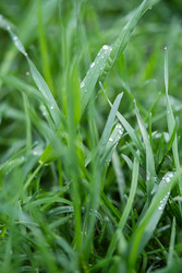 Similar image 22248294