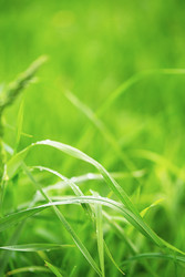 Similar image 22248297