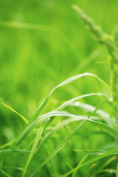 Similar image 22248298