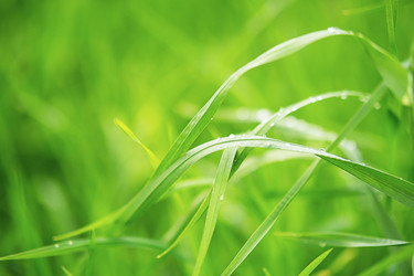 Similar image 22248299