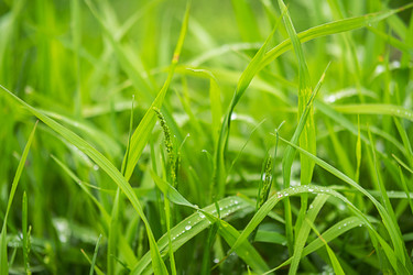 Similar image 22258387