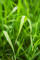 Similar image 22248301