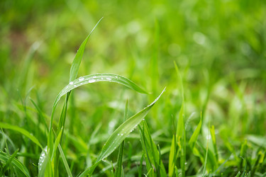 Similar image 22258388