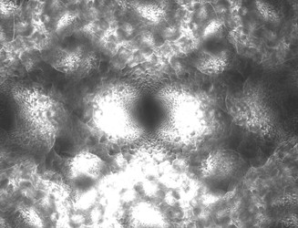 Similar image 22246518