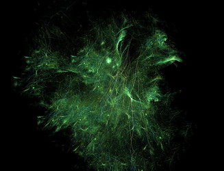 Similar image 22246569