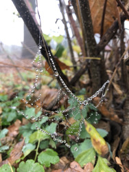 Similar image 22243756