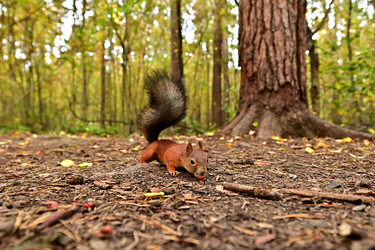 Similar image 22244950