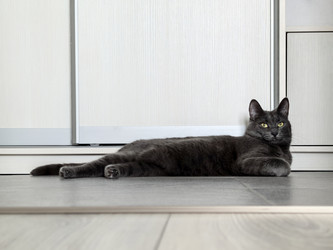 Similar image 22237394