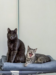 Similar image 22237395