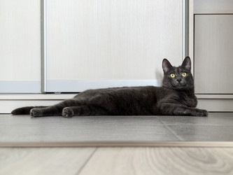 Similar image 22237396