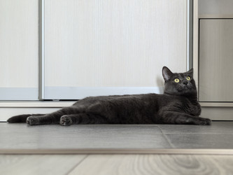 Similar image 22237397