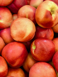 Similar image 22237398