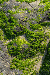 Similar image 22248318