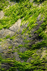 Similar image 22248321