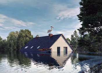 Similar image 22243782