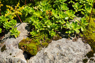 Similar image 22248328