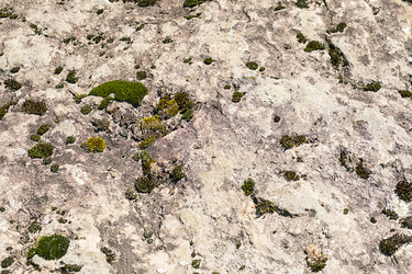 Similar image 22248330