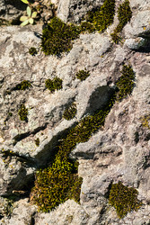 Similar image 22248331