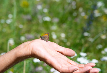 Similar image 22248332