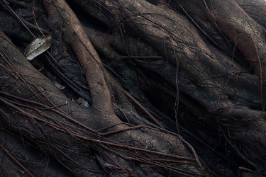 Similar image 22248338