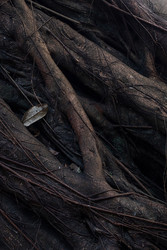 Similar image 22248339