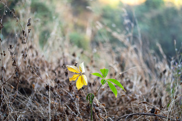 Similar image 22248340