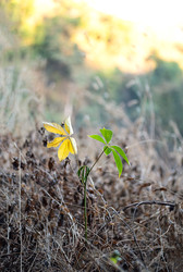 Similar image 22248341