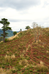 Similar image 22248342