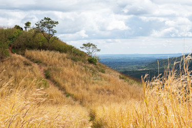 Similar image 22258415