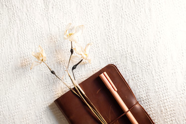 Similar image 22248356