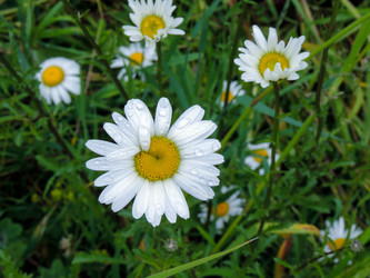 Similar image 22237310