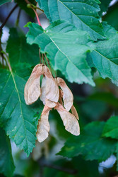 Similar image 22237313